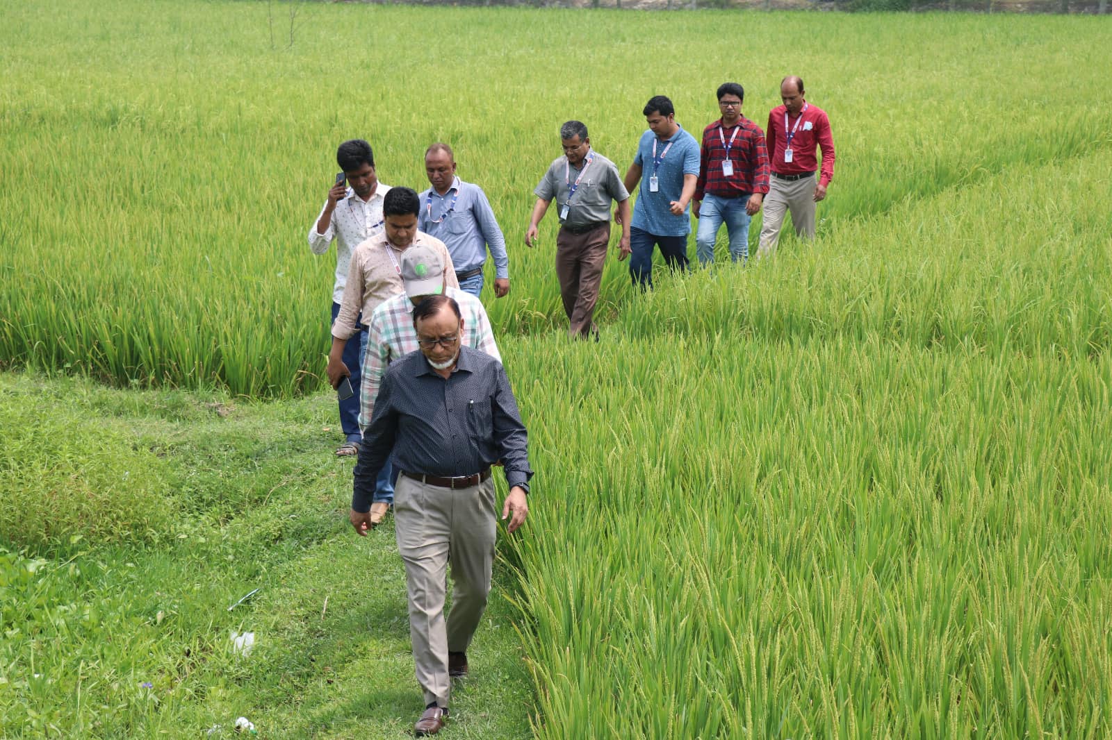 গ্রাম বিকাশ কেন্দ্র বাস্তবায়নাধীন সমন্বিত কৃষি ইউনিট (কৃষি, মৎস্য ও প্রাণিসম্পদ, এসইপি এবং আরএমটিপি-নিরাপদ সবজি উৎপাদন প্রকল্প কার্যক্রম পরিদর্শন করেন কৃষি সম্প্রসারন অধিদপ্তরের সাবেক মহাপরিচালক এবং পিকেএসএফ এর সম্মানিত গভর্নিং বডির সদস্য ড. মো. আব্দুল মুঈদ।