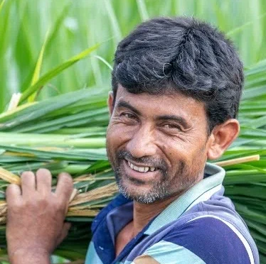 Farmer Success
